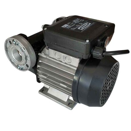 Przejdź do produktu Pompa do paliwa 230V, 110 l/min, E120 M - PIUSI