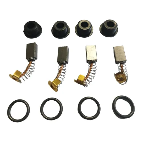 Przejdź do produktu Szczotki do pompy BI-PUMP DC 12/24V - PIUSI